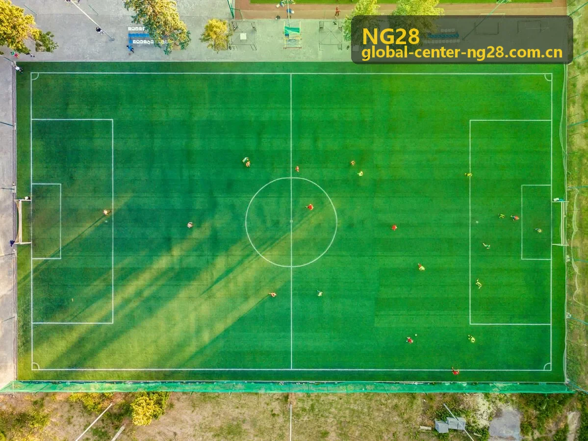 NG28战队经济分配数据报告封面